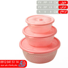 فريزري گرد آناناس ۳سايز اخلاص