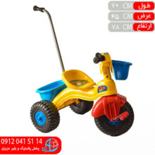 سه چرخه عصادار دلفين جهان
