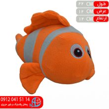 ماهي نمو رولي پولي