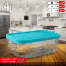 ظرف يخچالي متوسط۲ آنديا