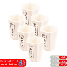 شات قهوه خوری سرامیکی ۶عددی رایا