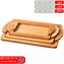 سيني دسته برگي ۳سايز ۱۹۹ خدام