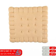 پد بیسکوئیتی دانش