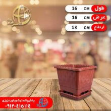 گلدان مربع درختي۱ نظيف