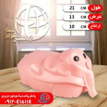 نپتون فيل ۲برس ماهر