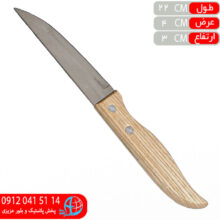 چاقو خنجري ۲ميخ