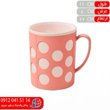 ليوان دورنگ توپي اشکان