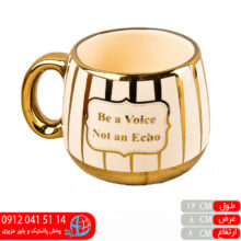 ماگ آوا۰۱۵ طلایی شاسرام