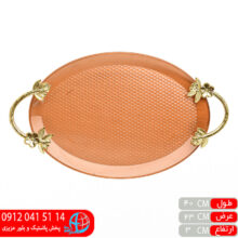 ديس پذيرايي دسته دار بيضي آيسان