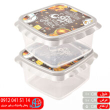 فریزری ۲قلو درب گلدار مربع کوچک۵۵۵ صائین