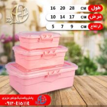 فريزري دلسا رنگي ۳عددي انديشه