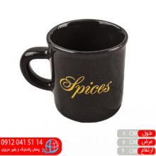 شات تینا۰۴۸ جفتی شاسرام