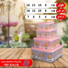 فريزري مربع ۸پارچه رزمن