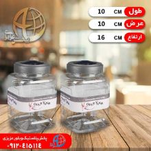 پت سایز۲ گل یخ