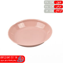 بشقاب گود پارا