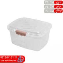 جاناني دلوين۲ ايده آل