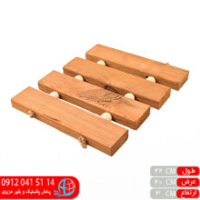 زیردیگی مهره ای سارینا