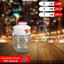 نمکپاش ۶عددي نفيس