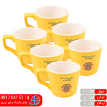 فنجان۱۰ دکور تک شایگان