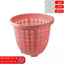 سبدتوپولي گلبرگ کوچک عرشيا
