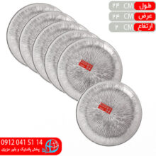 بشقاب تخت۲۵۰ سولو