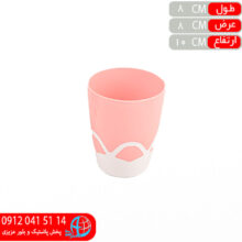 ليوان دورنگ روشا اشکان