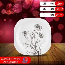 بشقاب برنج۲۰۱۴ ملامين چهارگوش