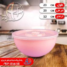 فريزري ماکروفري باران نماپلاست