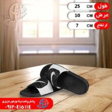 دمپايي نايک چفتي مردانه