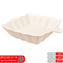 دیس شیاردارH۵۳۷ بزرگ اس دی تی