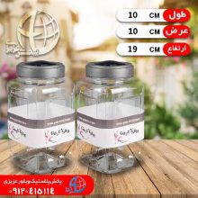 پت سایز۳ گل یخ
