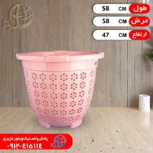 سبدتوپولي گلبرگ بزرگ عرشيا