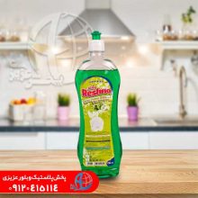 مايع ظرفشويي ۷۵۰گرم رشنو