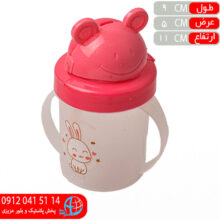 ليوان موشي رسالت