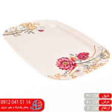ديس کباب رزا۲۳۰ گوهر