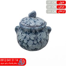 دیزی آسمان شایگان