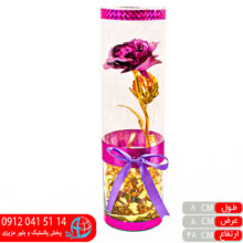 گل جاودان استوانه