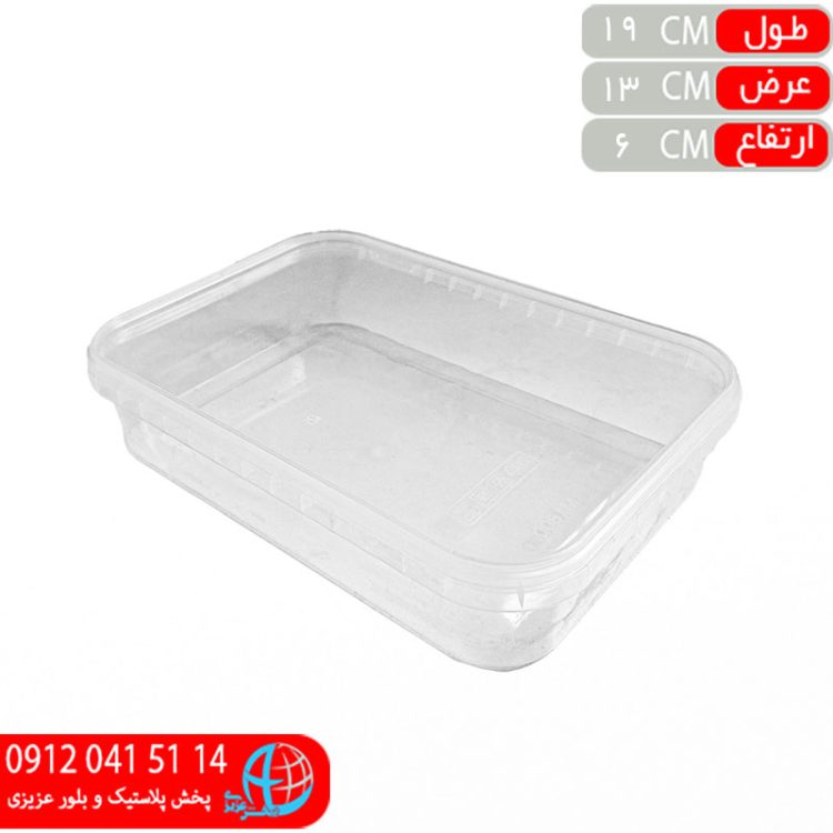فريزري آراد۱۰۰۰ نيو
