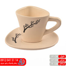 فنجان نعلبکی۰۴۷ مثلثی طرح شاخه شاسرام