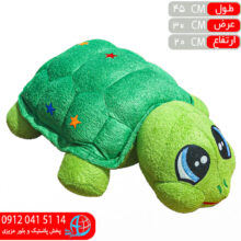 لاکپشت سبز رولی پولی