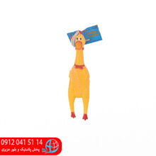 مرغ نالان کوچک