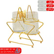 جاقاشقي ستاره ۲قلو فورتيک