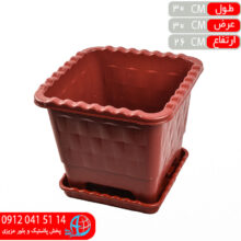 گلدان مربع درختي۴ نظيف