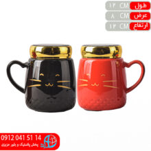 ماگ ساده هوم