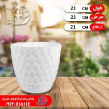 گلدان آناناسي۴ نظيف