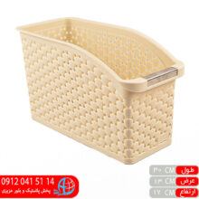 سبد نظم دهنده پالرمو۱ اکسون