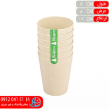 ليوان برگ ۶عددي کاجين