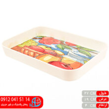 سینی۱۰۰۰ ملامین پارس