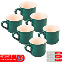 فنجان۱۴ لبه دار شایگان