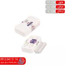 نپتون آراد دوقلو انديشه